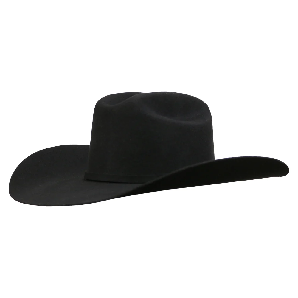 Ariat Mens 3X Felt Hat - A7520601 - Image 4