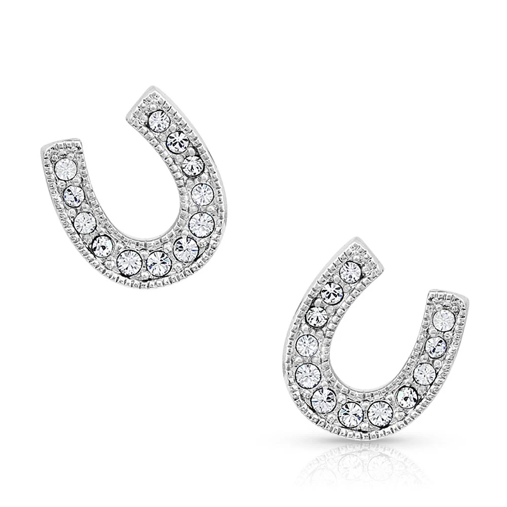 Montana Silversmiths Womens Earrings - ER808